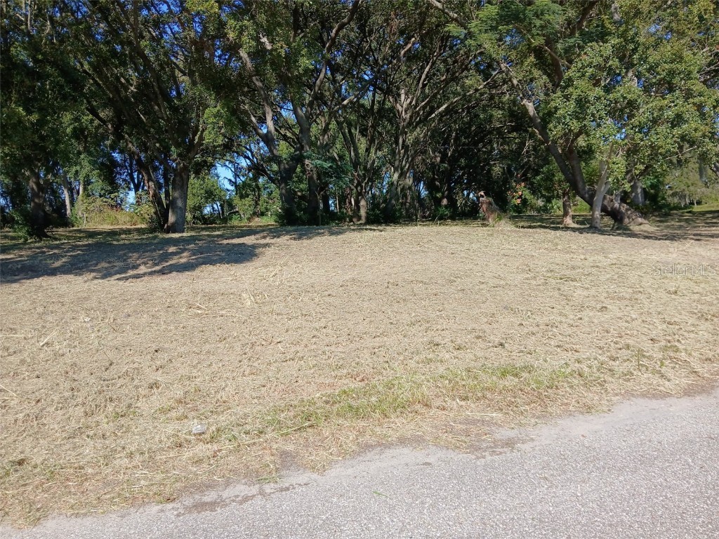 14424 Ellerbee Street Winter Garden FL 34787 O6361850 image2