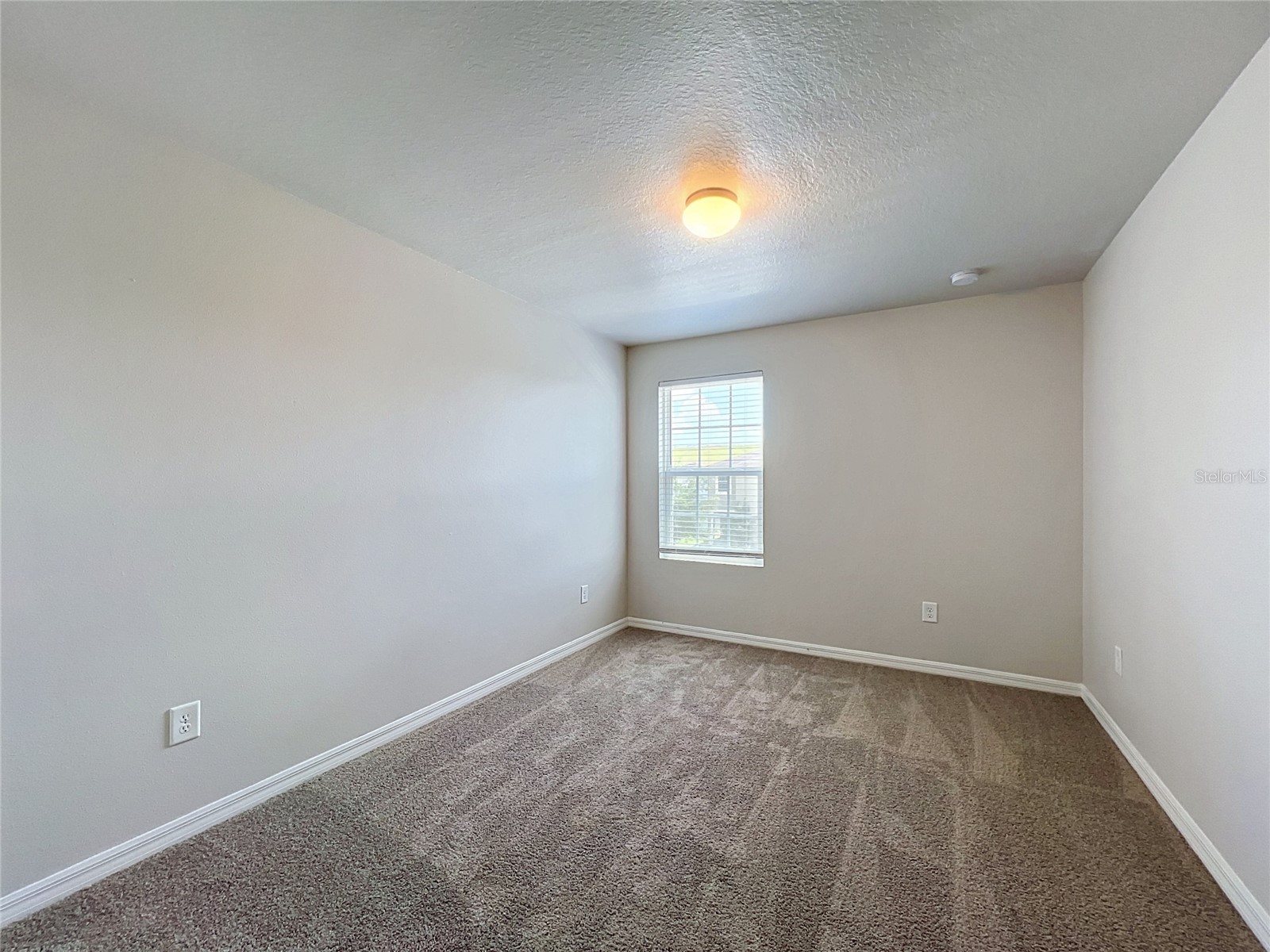14425 Dunrobin Drive Wimauma FL 33598 TB8527528 image26