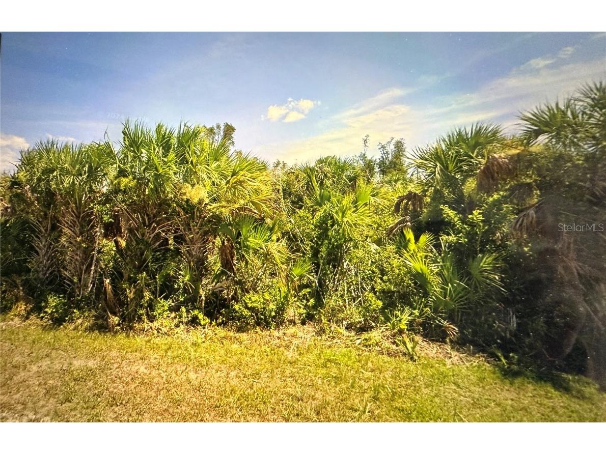 14425 Fort Myers Avenue Port Charlotte FL 33981 D6141407 image1