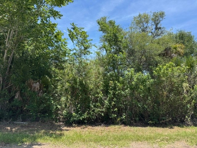 14427 Molla Avenue Port Charlotte FL 33953 A4696156 image1
