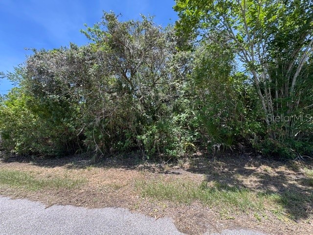 14427 Molla Avenue Port Charlotte FL 33953 A4696156 image3