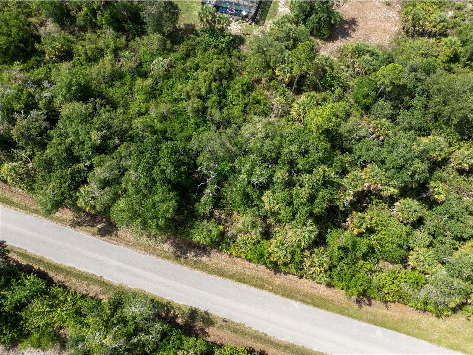14427 Molla Avenue Port Charlotte FL 33953 A4696156 image4
