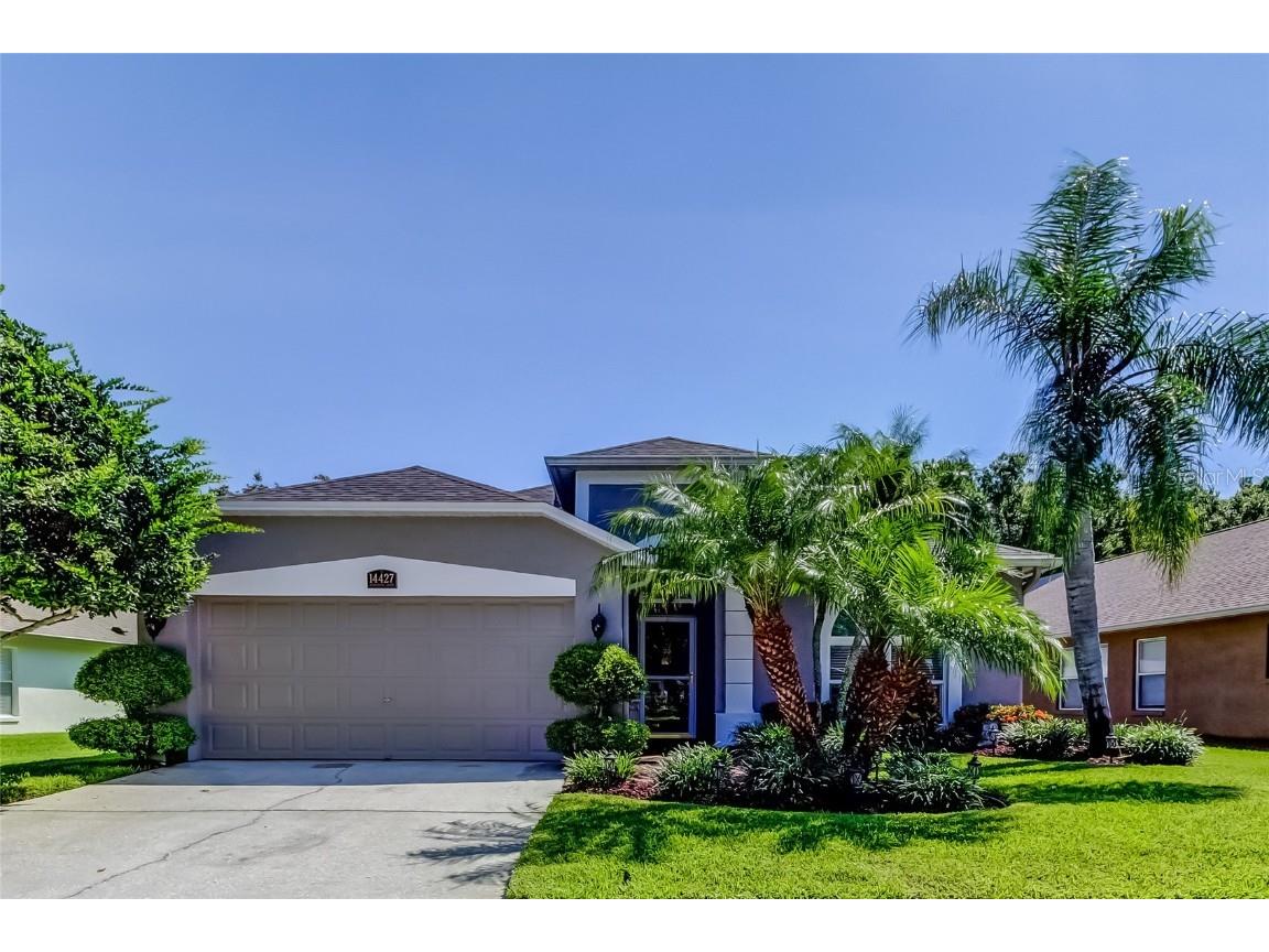 14427 Pepperpine Drive Tampa FL 33626 TB8400304 image1