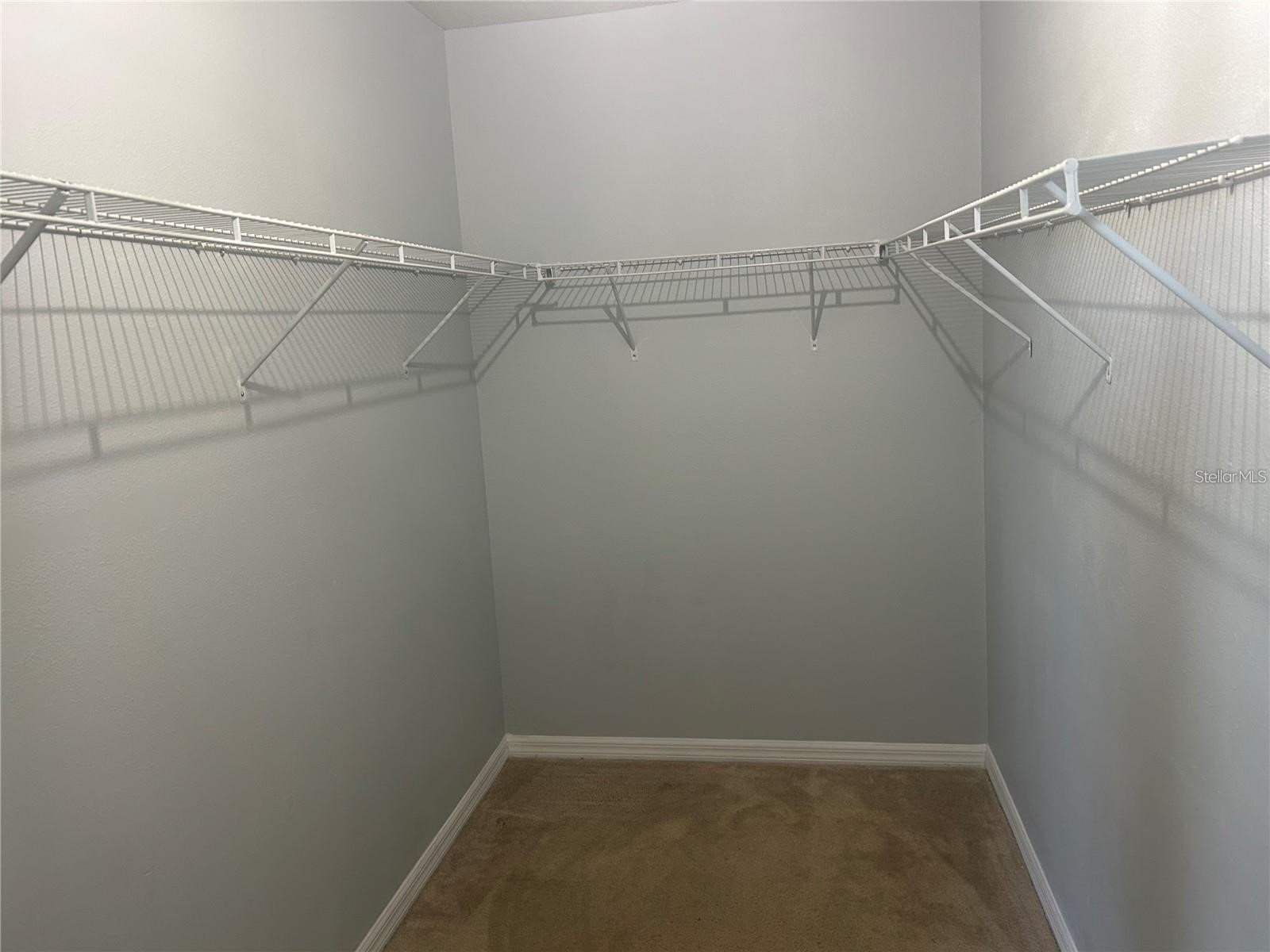 14428 Dunrobin Drive Wimauma FL 33598 TB8498553 image12