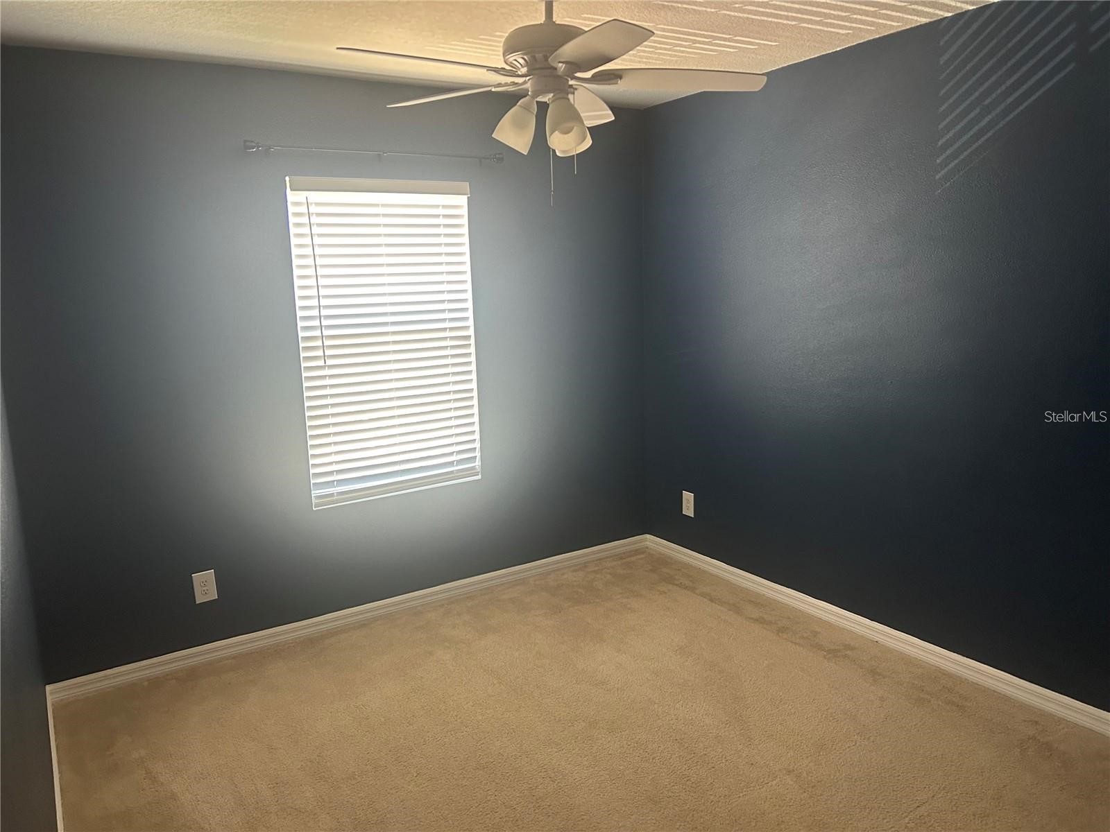 14428 Dunrobin Drive Wimauma FL 33598 TB8498553 image16