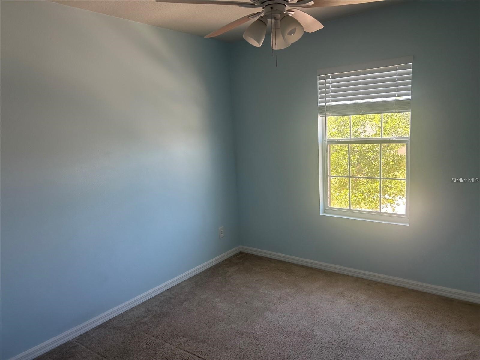 14428 Dunrobin Drive Wimauma FL 33598 TB8498553 image20
