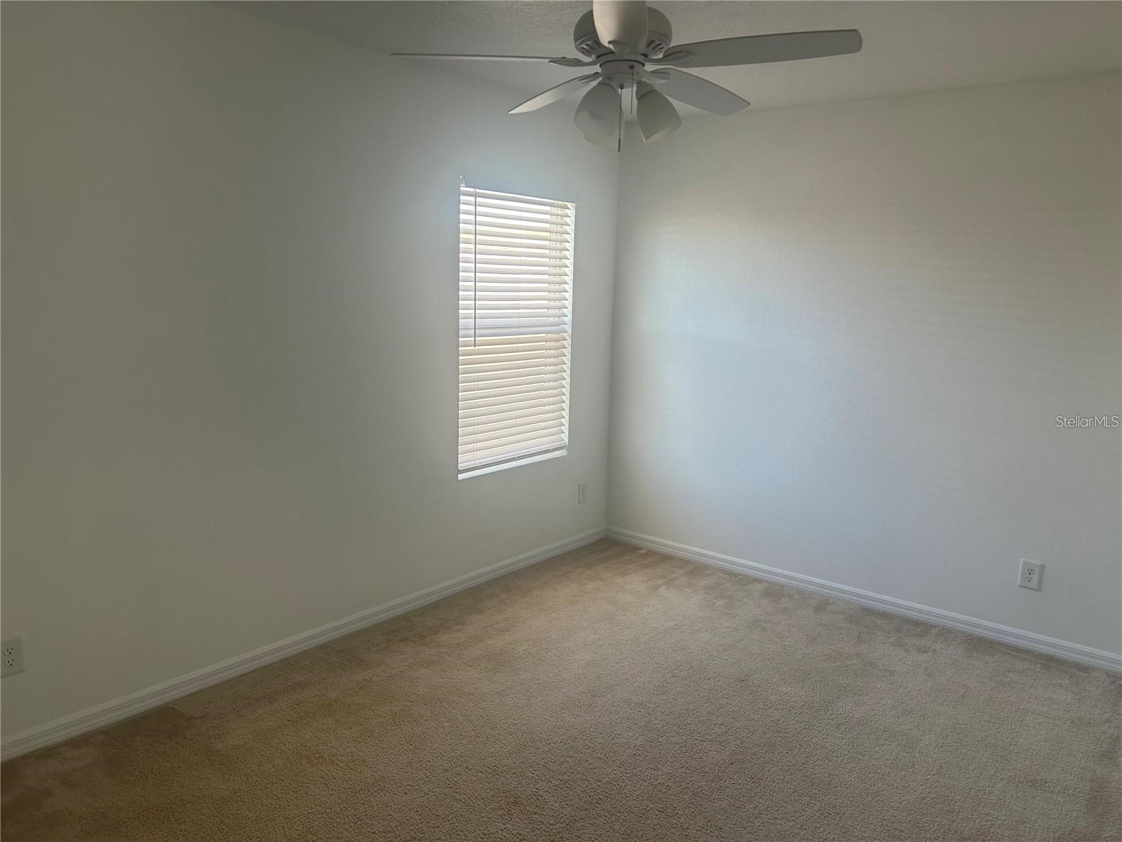 14428 Dunrobin Drive Wimauma FL 33598 TB8498553 image21