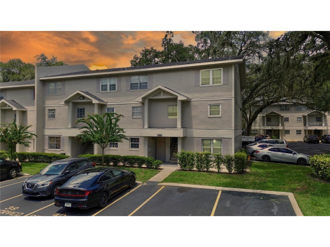 14428 Reuter Strasse Circle #118 Tampa FL 33613 T3467902 image1