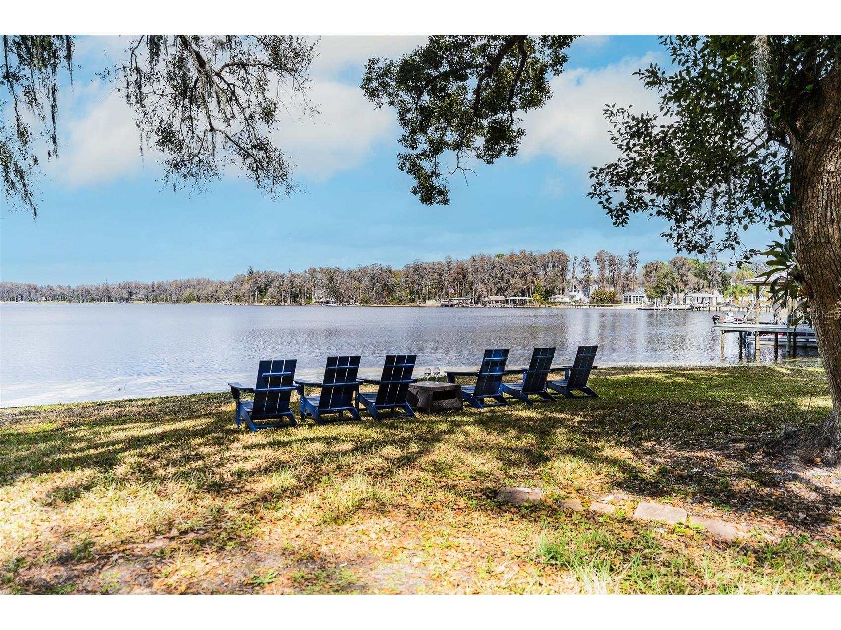 14429 Wadsworth Drive Odessa FL 33556 - LAKE ANN TB8478509 image1