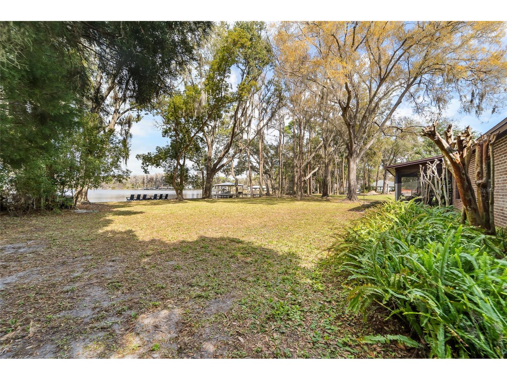 14429 Wadsworth Drive Odessa FL 33556 - LAKE ANN TB8478509 image12