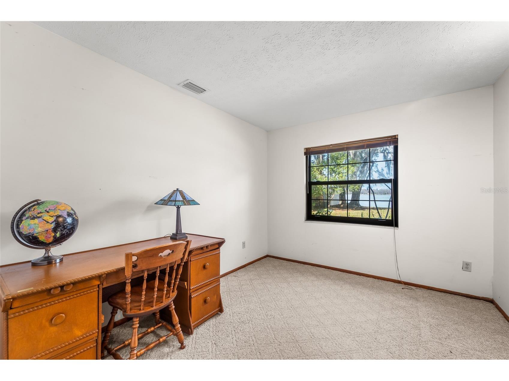 14429 Wadsworth Drive Odessa FL 33556 - LAKE ANN TB8478509 image19