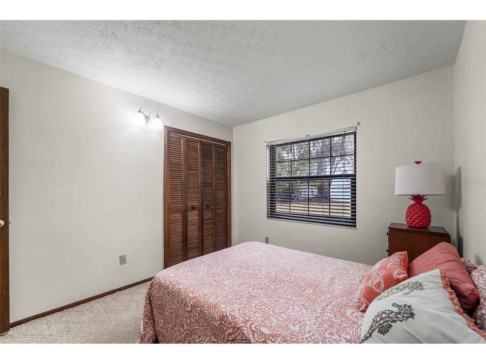 14429 Wadsworth Drive Odessa FL 33556 - LAKE ANN TB8478509 image20