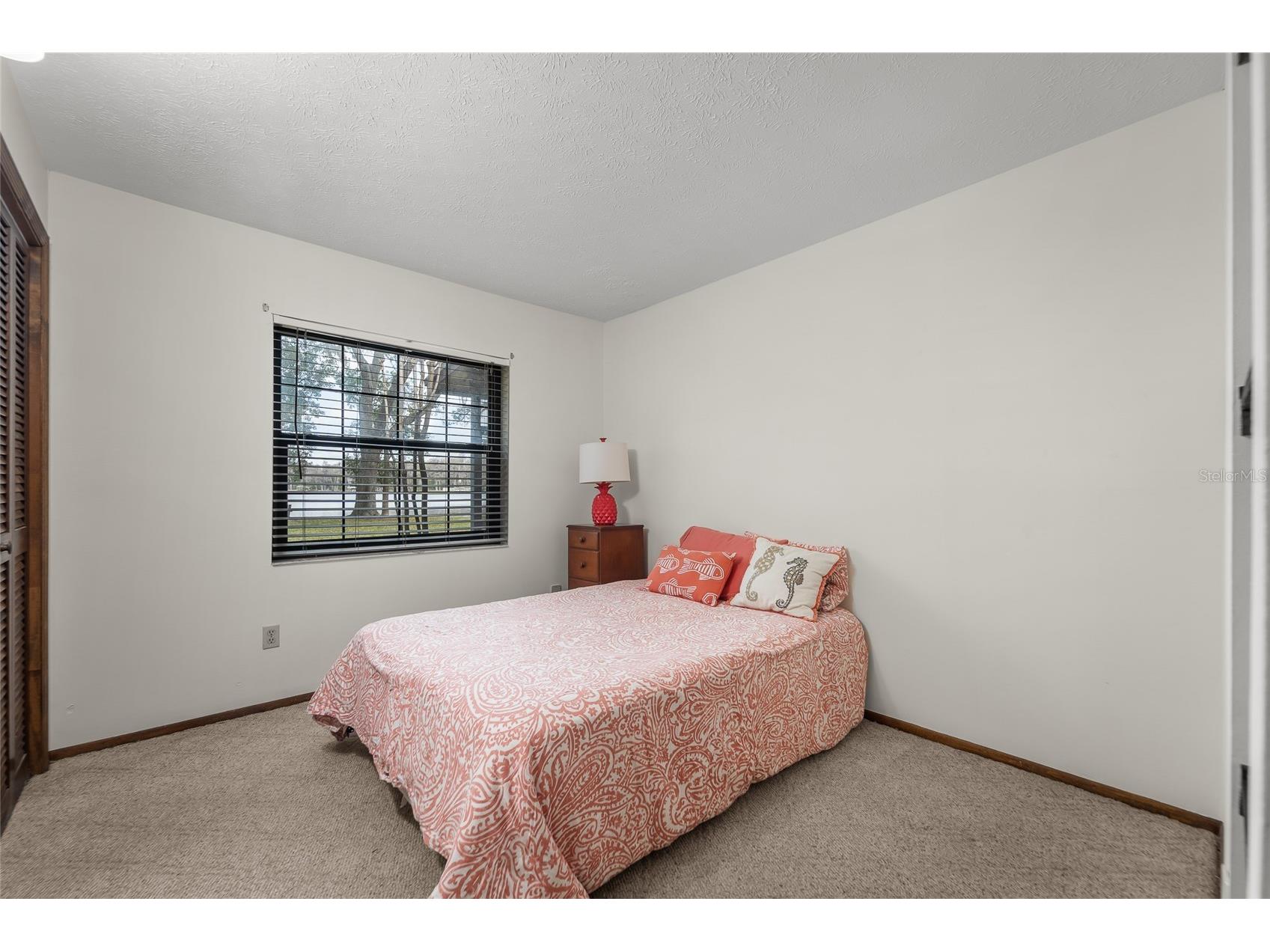 14429 Wadsworth Drive Odessa FL 33556 - LAKE ANN TB8478509 image21