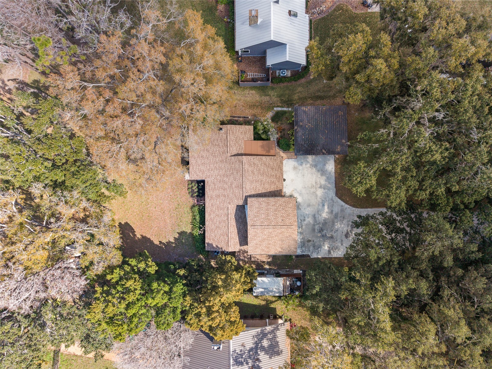 14429 Wadsworth Drive Odessa FL 33556 - LAKE ANN TB8478509 image29