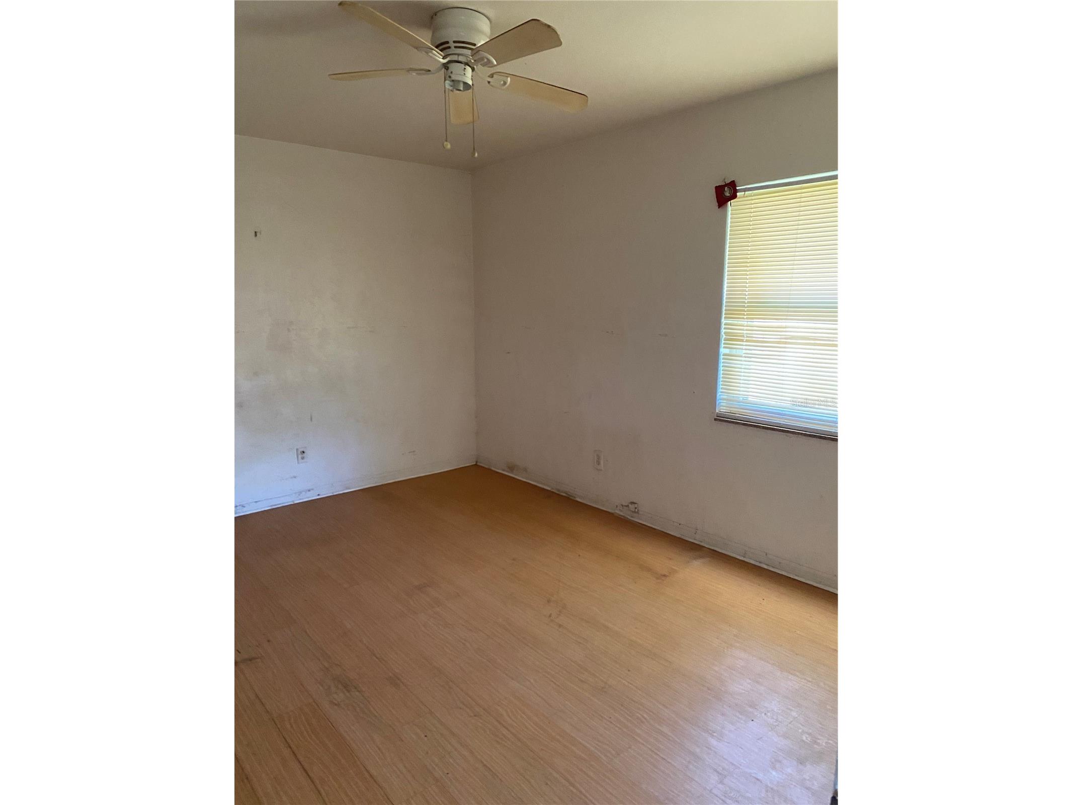 1443 5th Street S Saint Petersburg FL 33701 TB8425681 image8