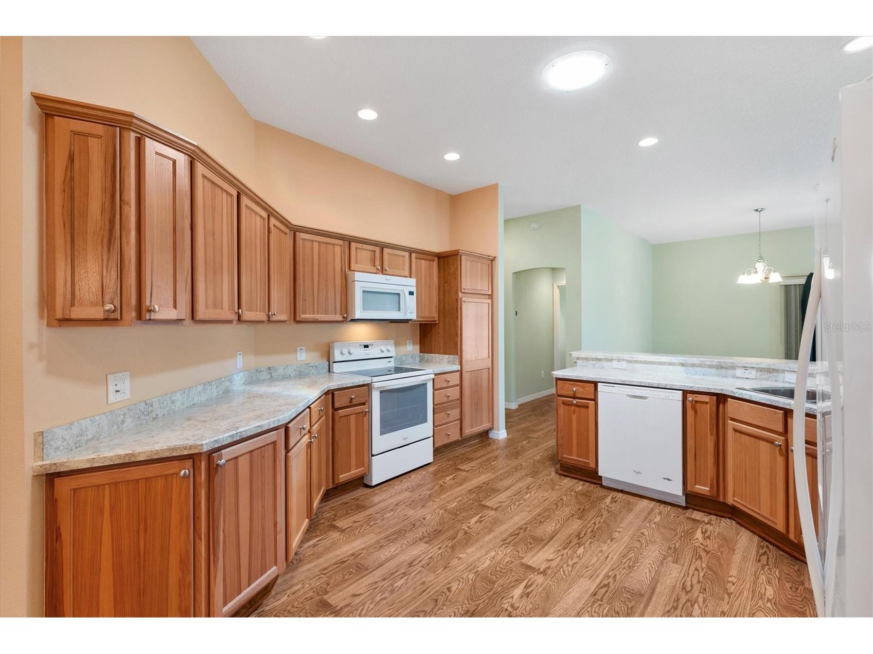 1443 Alesio Street The Villages FL 32163 G5111929 image12
