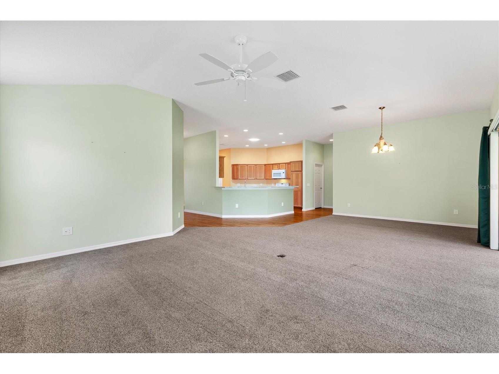 1443 Alesio Street The Villages FL 32163 G5111929 image7