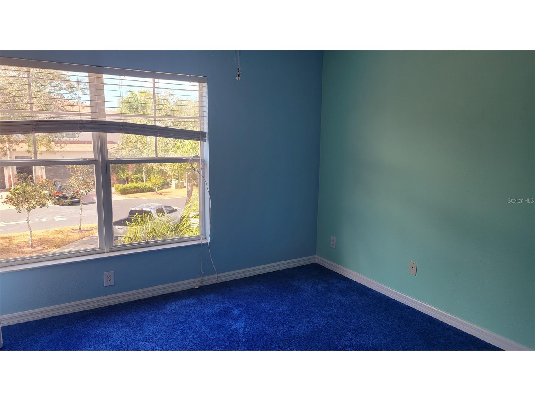 1443 Hillview Lane Tarpon Springs FL 34689 TB8484348 image11