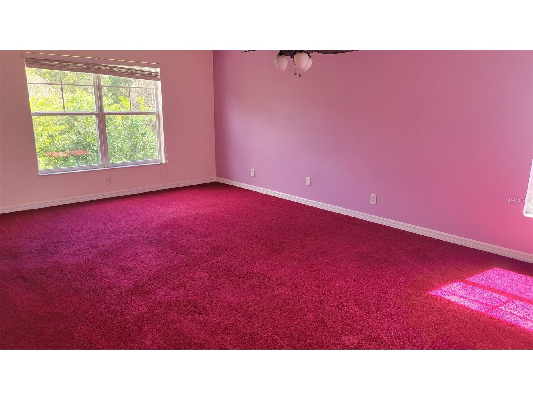 1443 Hillview Lane Tarpon Springs FL 34689 TB8484348 image14