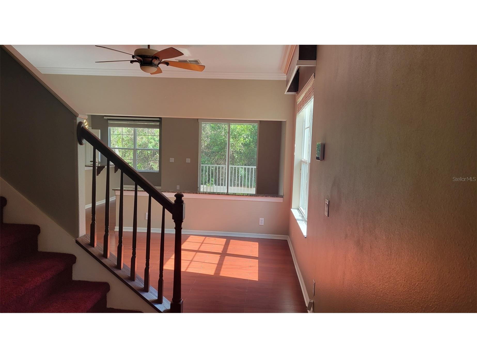 1443 Hillview Lane Tarpon Springs FL 34689 TB8484348 image3