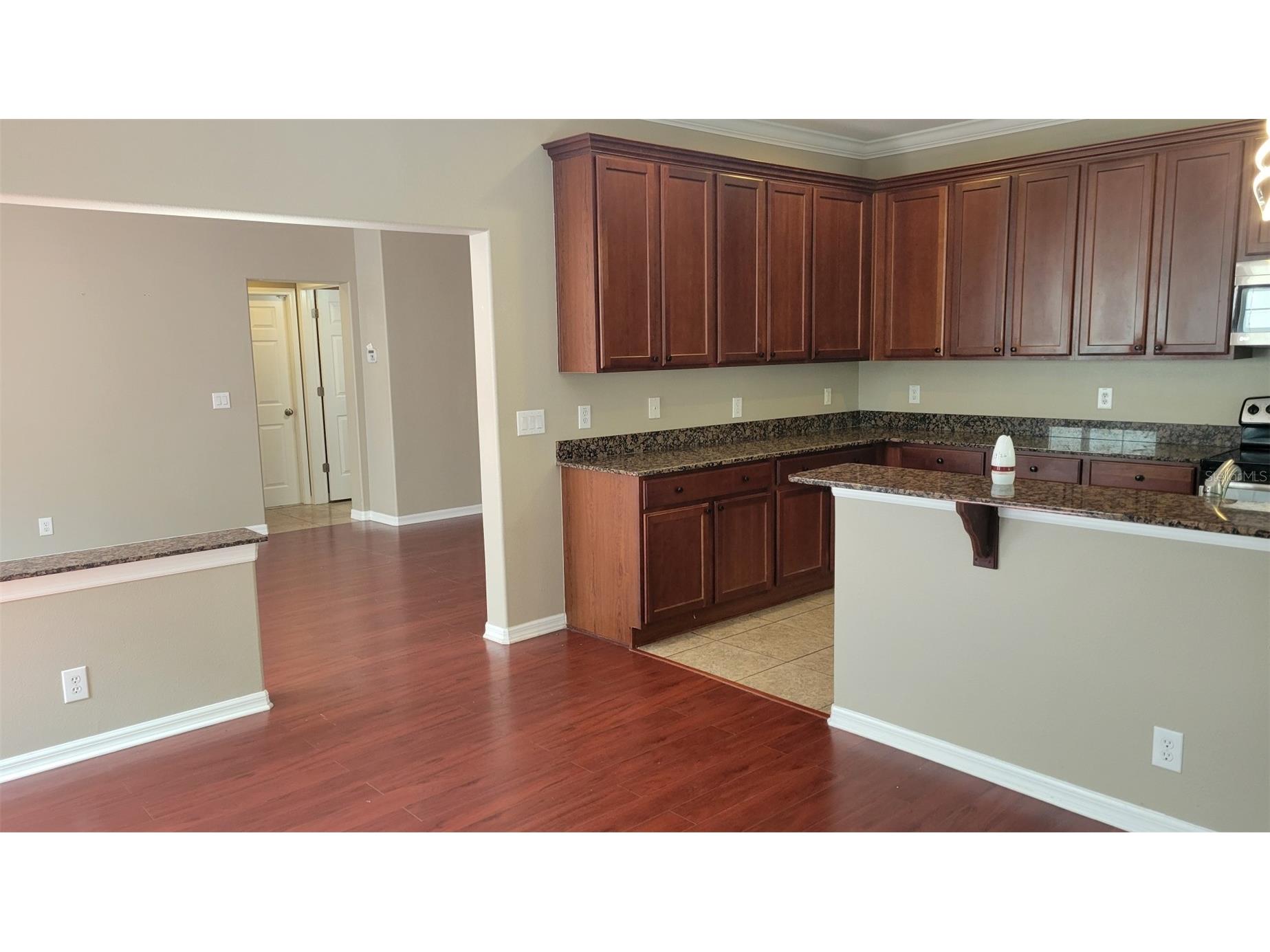 1443 Hillview Lane Tarpon Springs FL 34689 TB8484348 image4