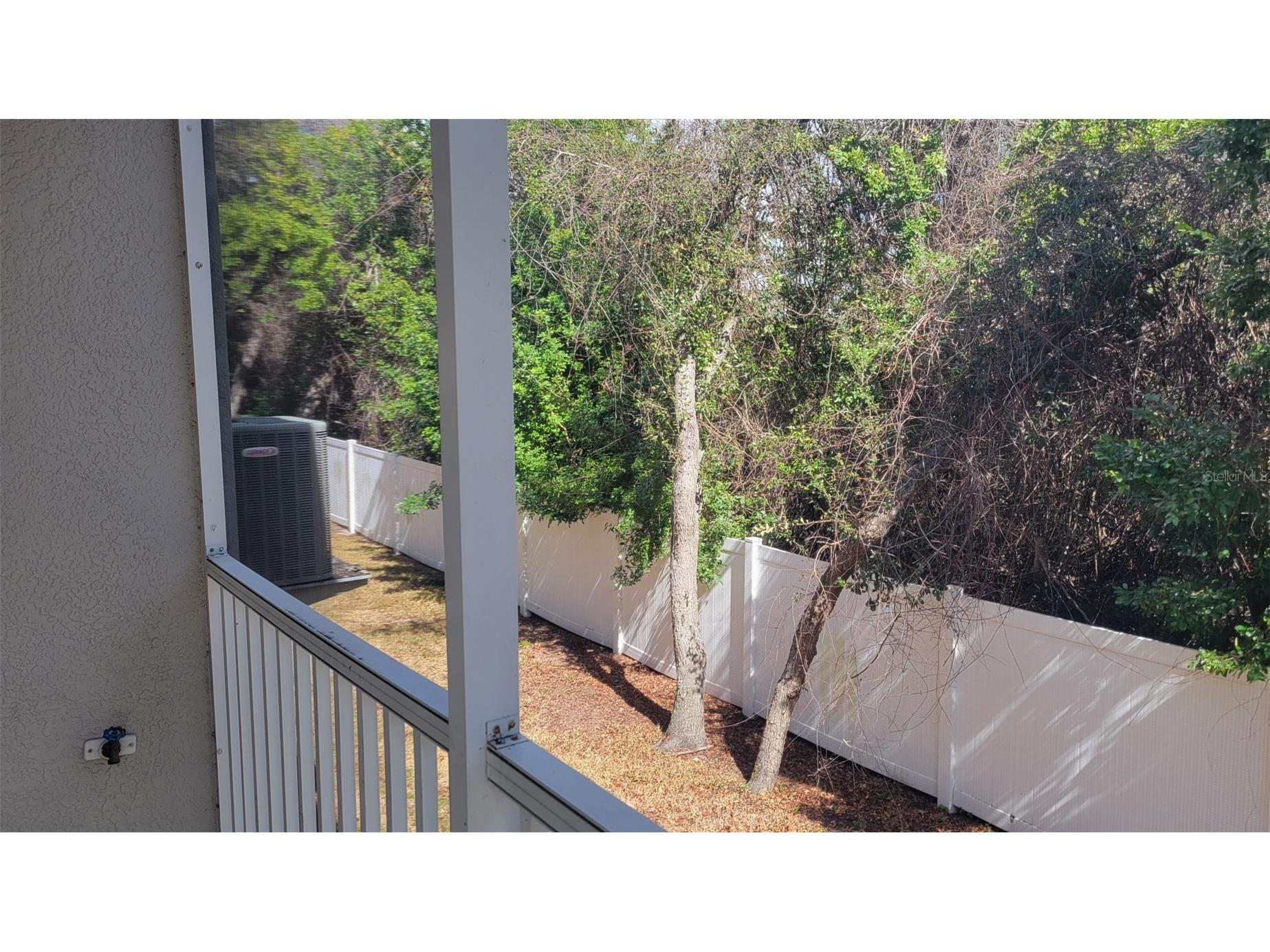 1443 Hillview Lane Tarpon Springs FL 34689 TB8484348 image5