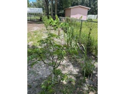 1443 Immokalee Street Intercession City FL 33848 O6348531 image13