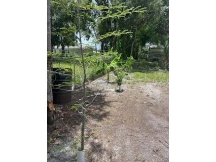 1443 Immokalee Street Intercession City FL 33848 O6348531 image14