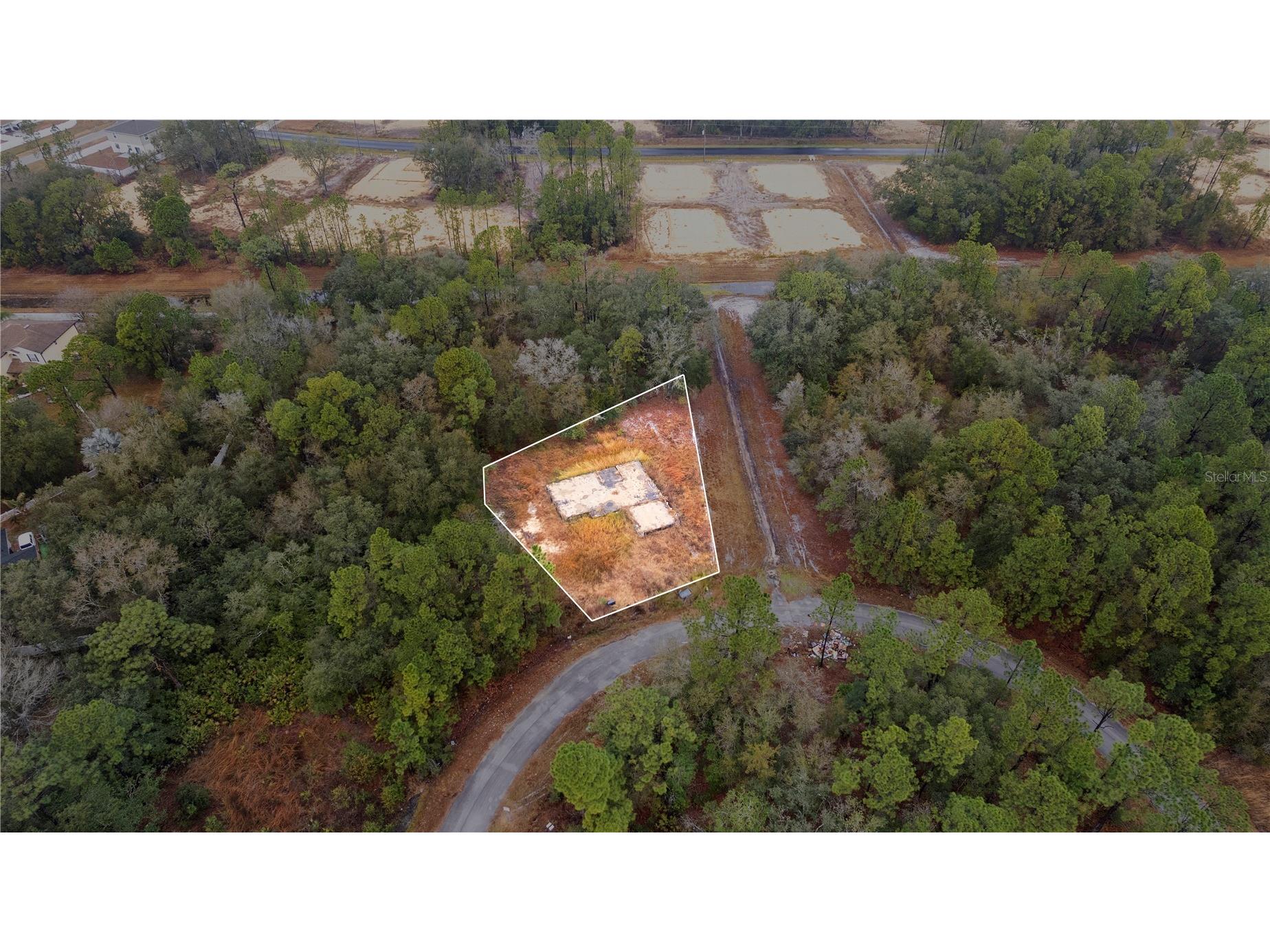 1443 Tern Court Poinciana FL 34759 O6378720 image1
