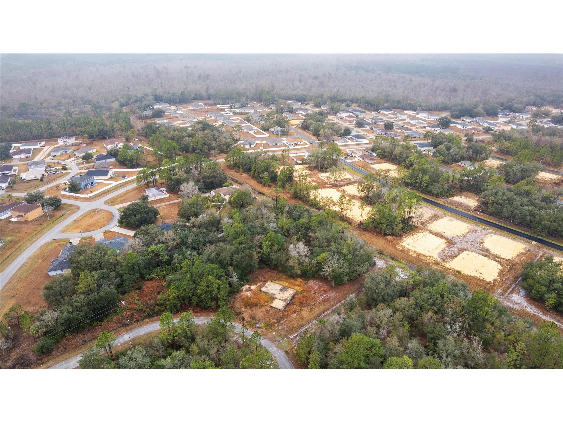 1443 Tern Court Poinciana FL 34759 O6378720 image13