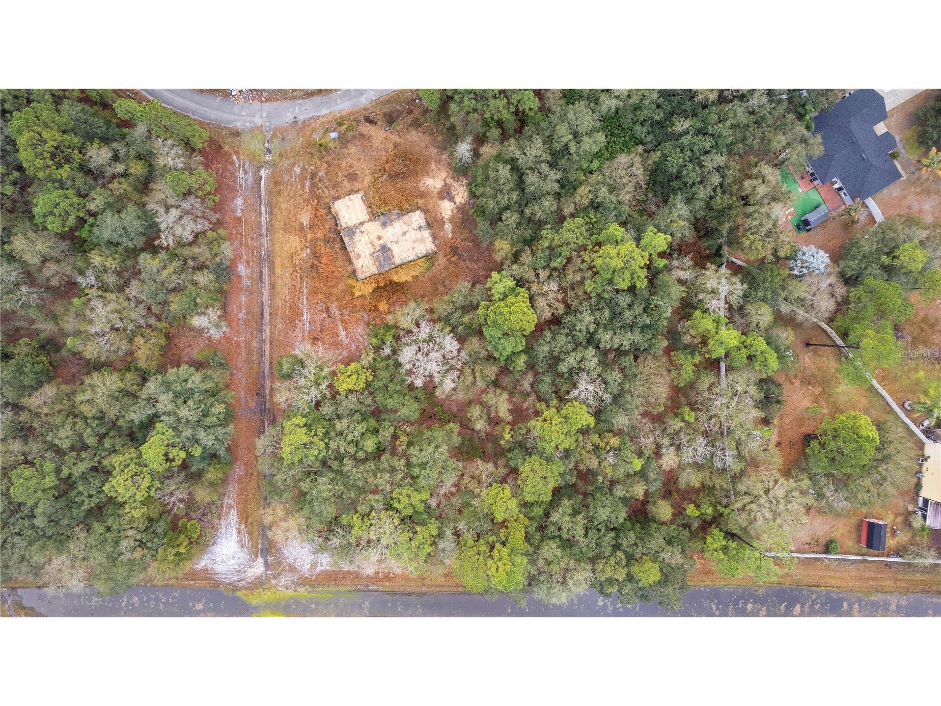 1443 Tern Court Poinciana FL 34759 O6378720 image20