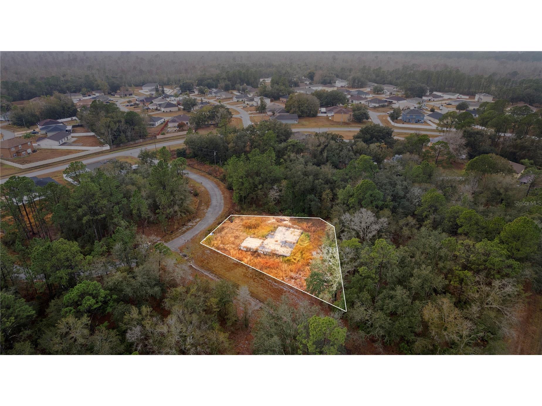 1443 Tern Court Poinciana FL 34759 O6378720 image22