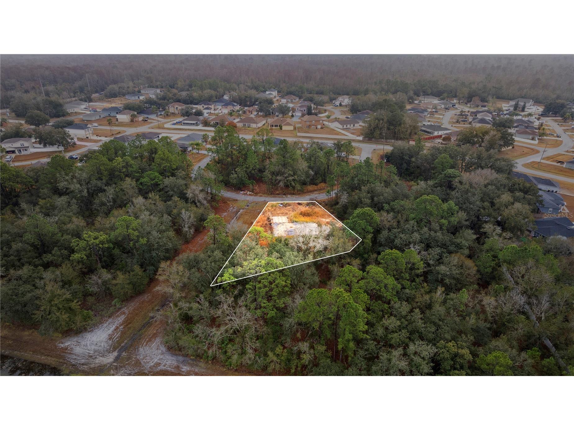 1443 Tern Court Poinciana FL 34759 O6378720 image23