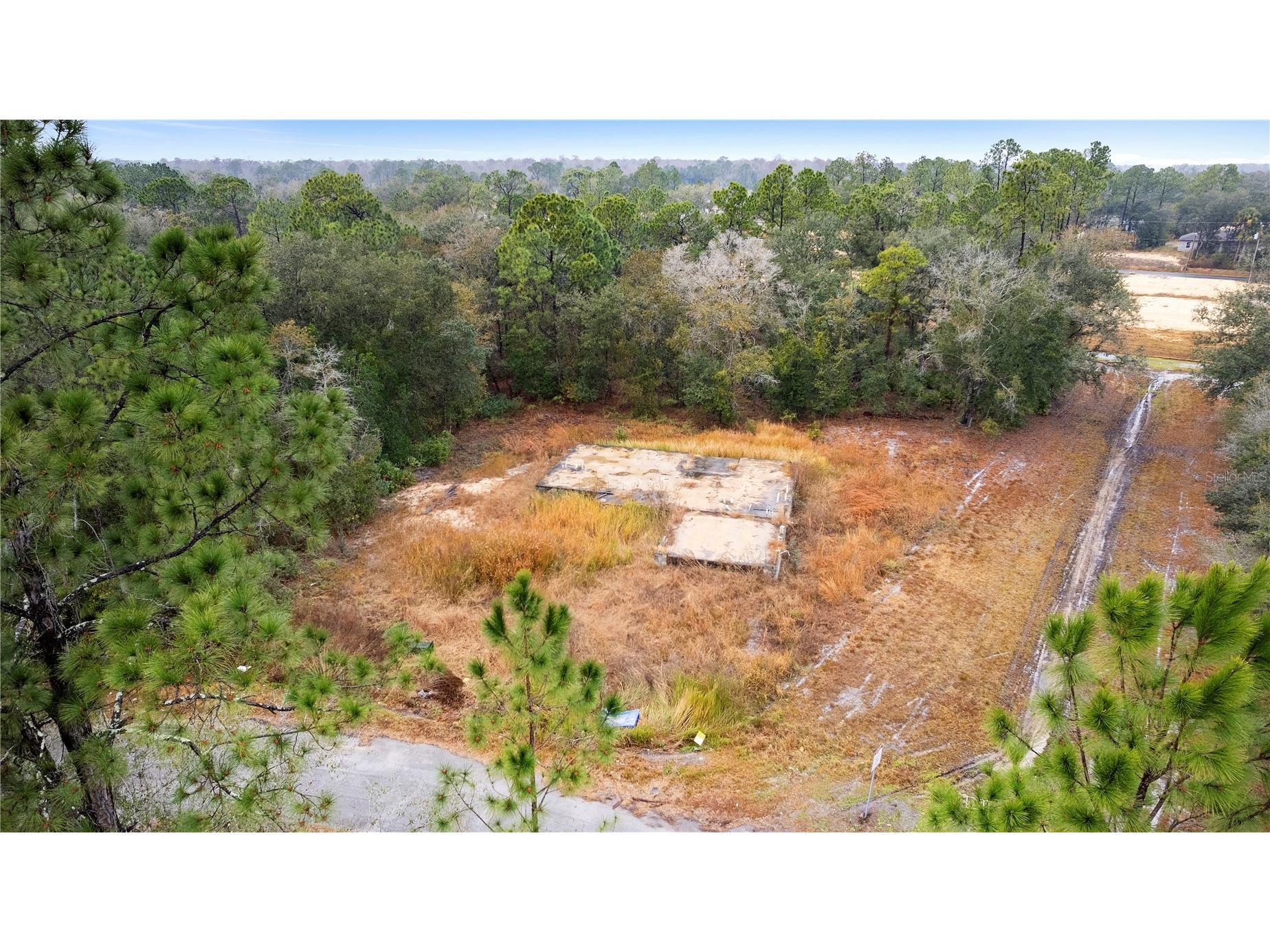 1443 Tern Court Poinciana FL 34759 O6378720 image3