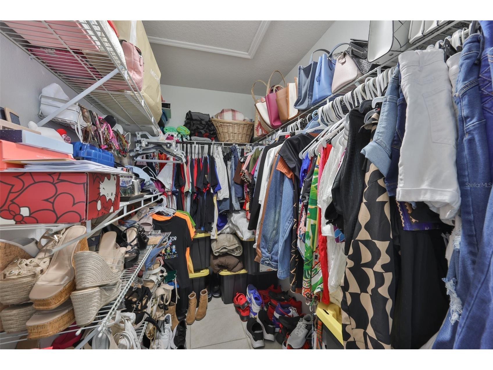 14430 Haddon Mist Drive Wimauma FL 33598 TB8482861 image26