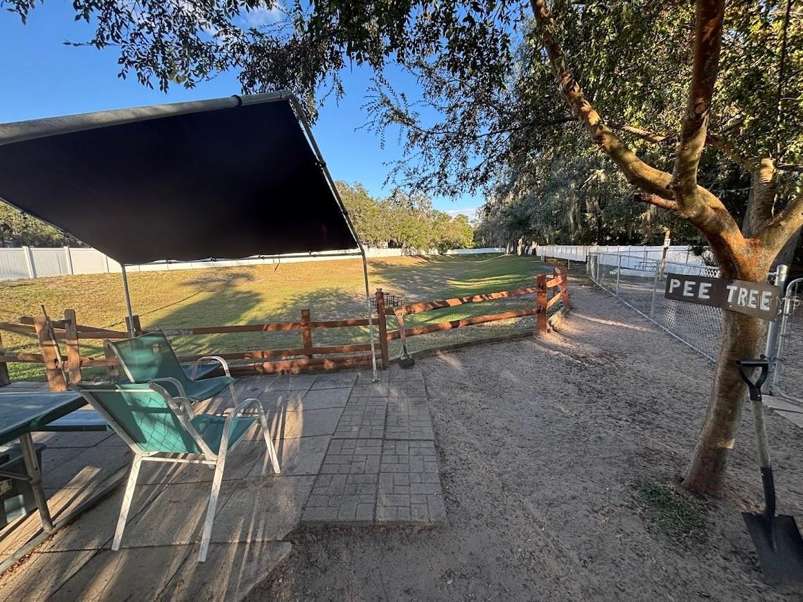 14432 252nd Court Road NE #140 Fort Mc Coy FL 32134 - LITTLE LAKE KERR OM720817 image33