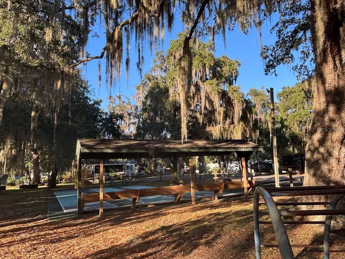 14432 252nd Court Road NE #140 Fort Mc Coy FL 32134 - LITTLE LAKE KERR OM720817 image40