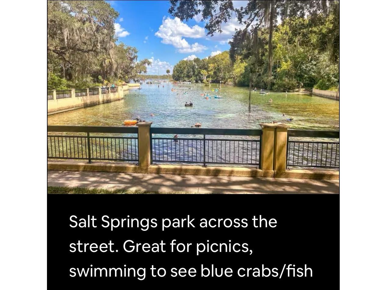 14432 252nd Court Road NE #140 Fort Mc Coy FL 32134 - LITTLE LAKE KERR OM720817 image50