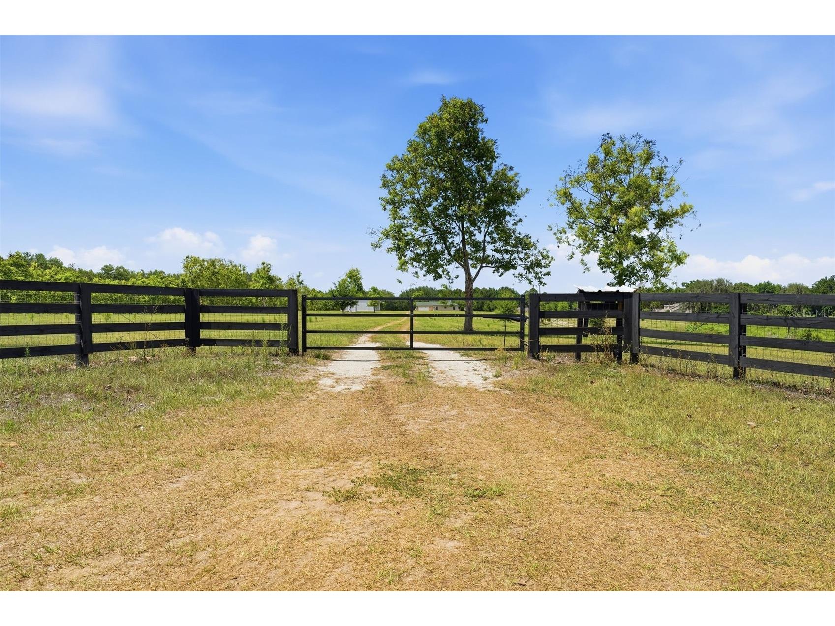 14433 Lake Yale Road Umatilla FL 32784 G5112955 image3