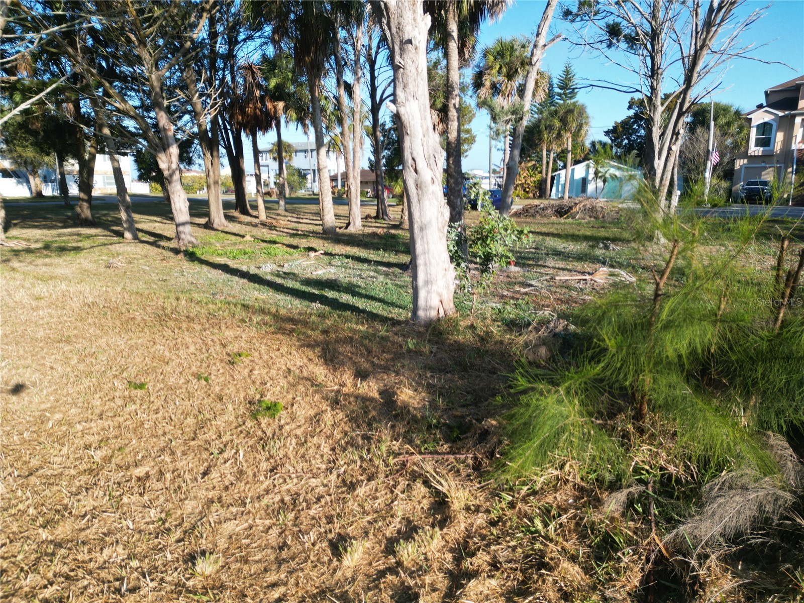 14434 Birch Street Hudson FL 34667 W7883289 image11