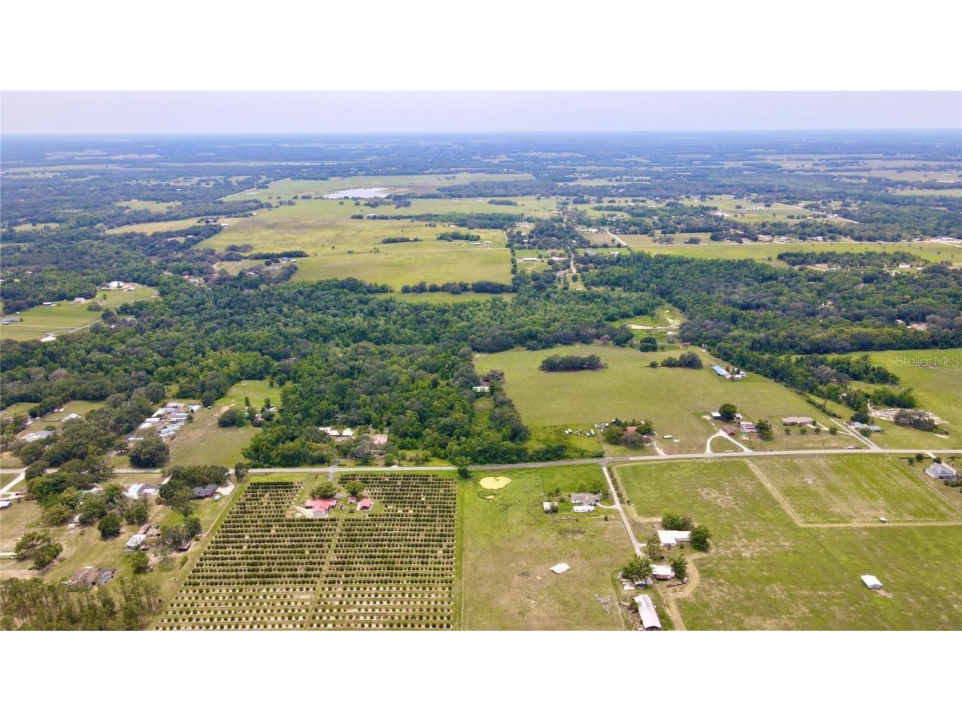 14435 Curley Road Dade City FL 33525 TB8388986 image2