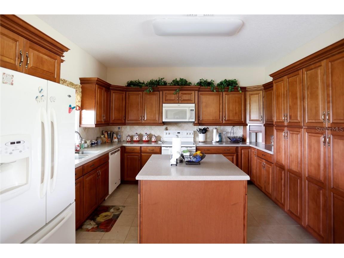 14435 Curley Road Dade City FL 33525 TB8388986 image24