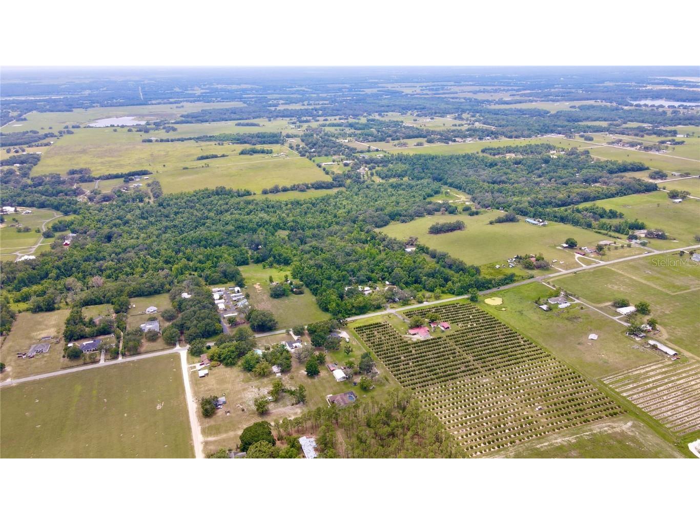 14435 Curley Road Dade City FL 33525 TB8388986 image3