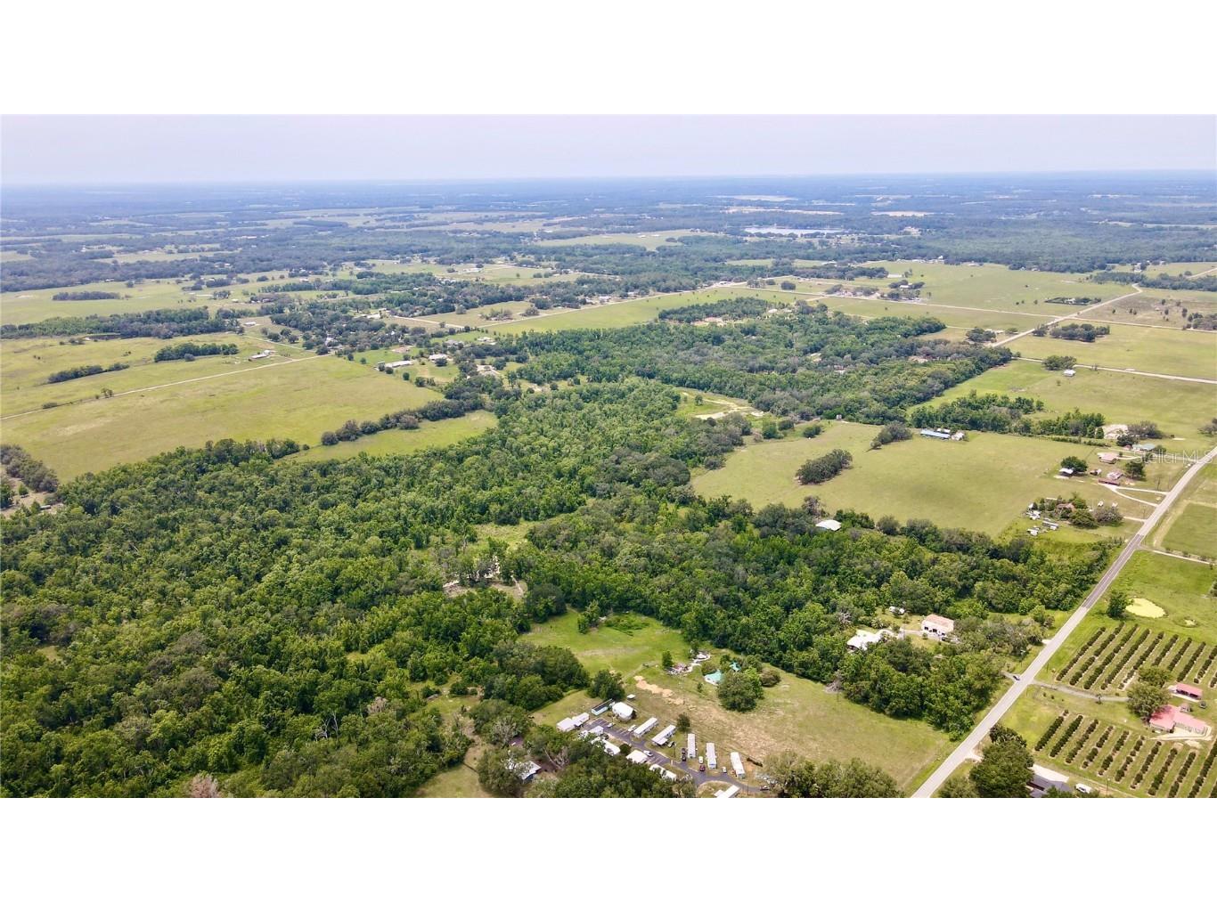 14435 Curley Road Dade City FL 33525 TB8388986 image4