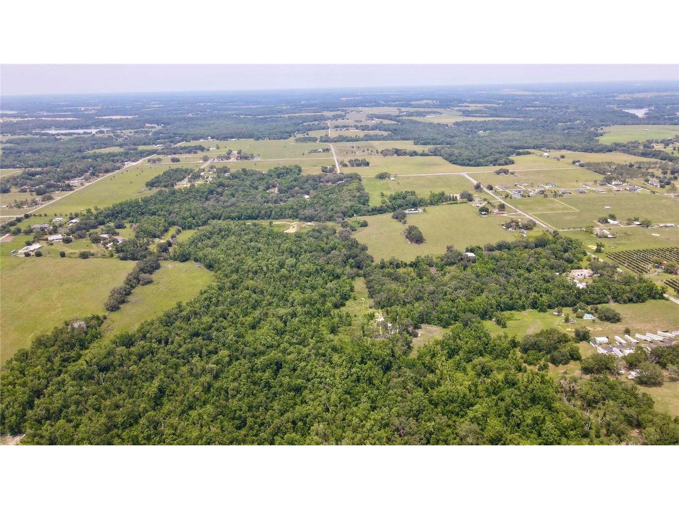 14435 Curley Road Dade City FL 33525 TB8388986 image5