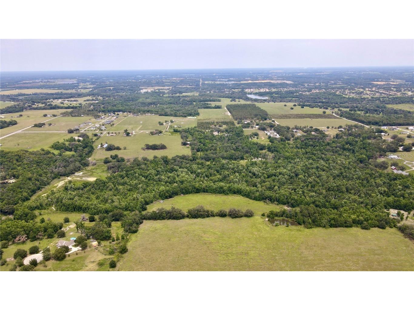 14435 Curley Road Dade City FL 33525 TB8388986 image7