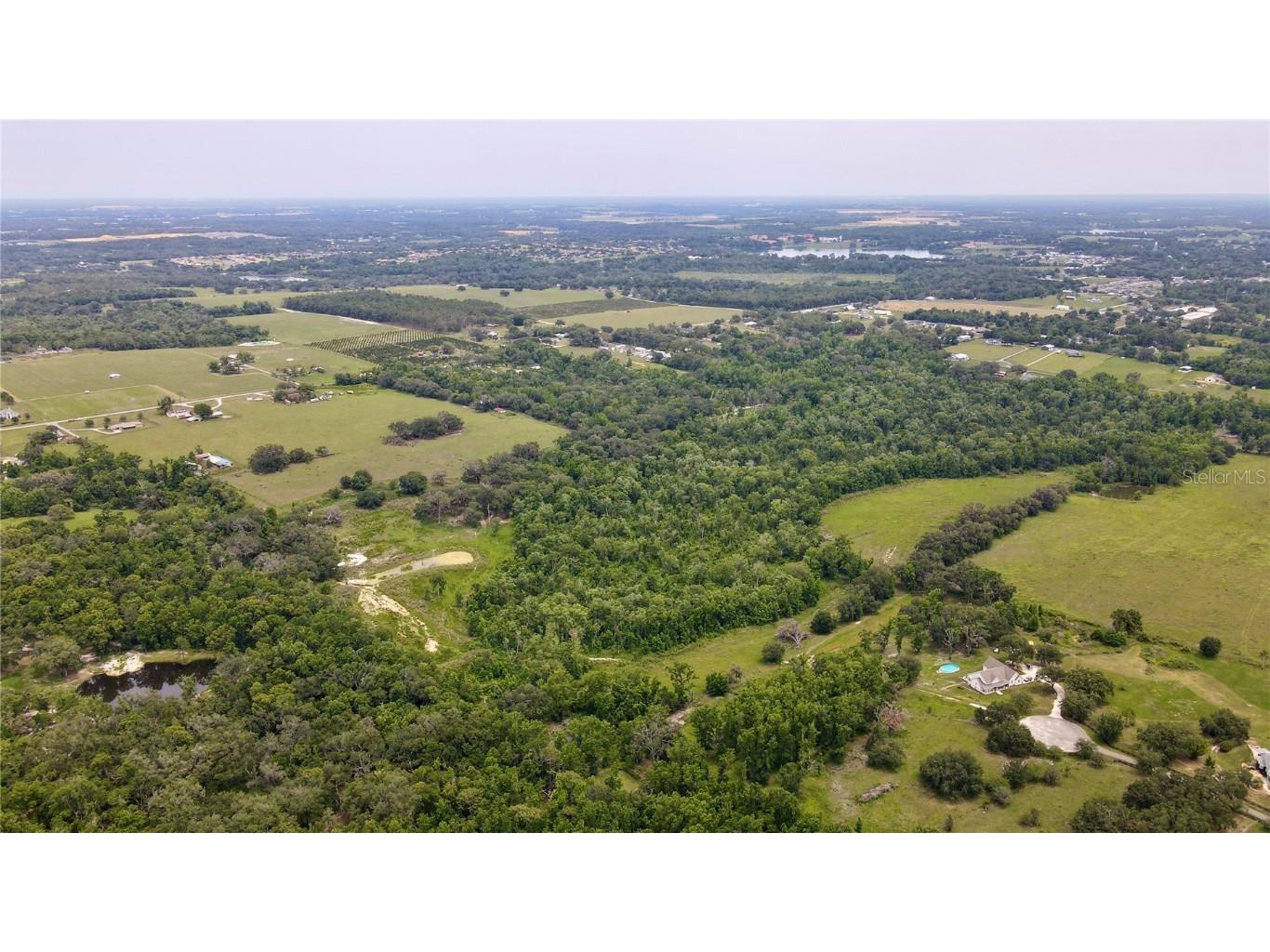 14435 Curley Road Dade City FL 33525 TB8388986 image8