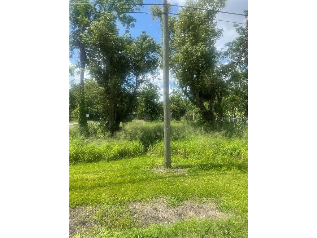 14435 Oak Street Groveland FL 34736 S5128662 image11