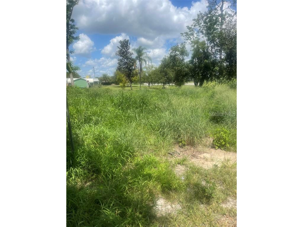 14435 Oak Street Groveland FL 34736 S5128662 image3