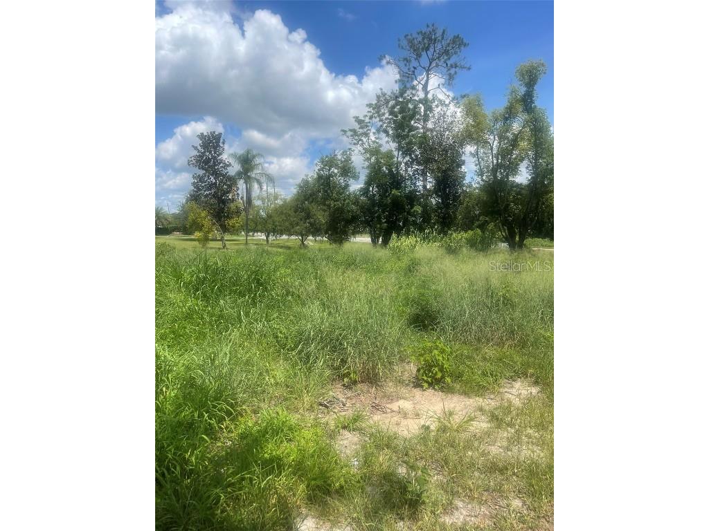 14435 Oak Street Groveland FL 34736 S5128662 image4